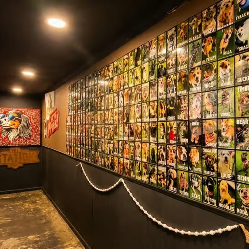 Dimly lit restaurant hallway featuring a wall covered with colorful dog portraits, decorative rope lighting, and rustic wood accents.